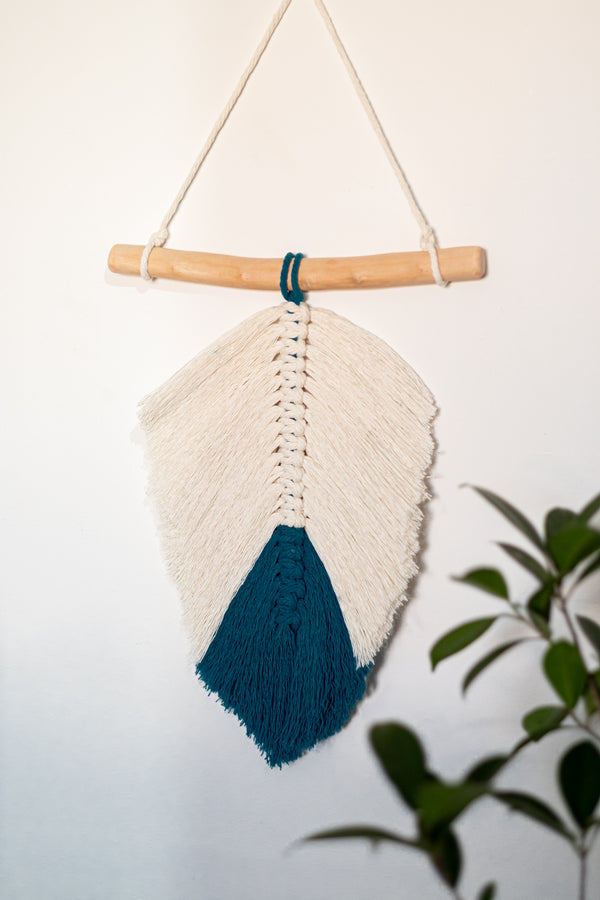 Kit Plume Colorée bois flotté