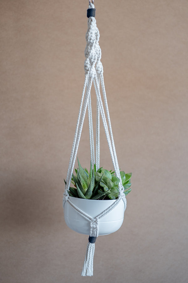 Porte-plante en macramé beige et gris suspendu avec des plantes grasses