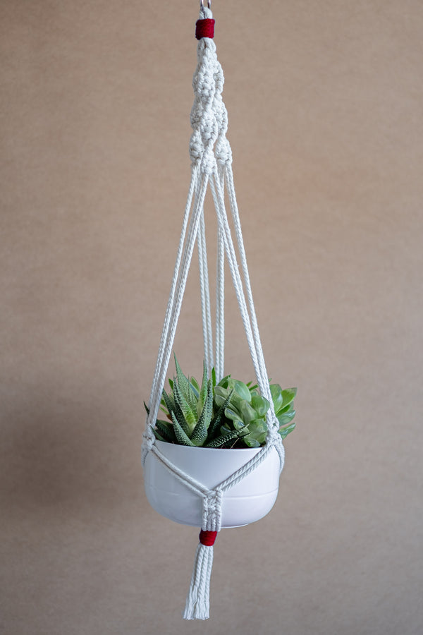 Porte-plante en macramé beige et rouge suspendu avec des plantes grasses