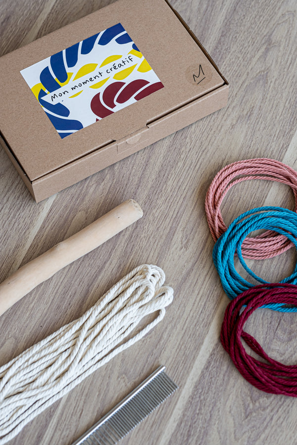 Kit Plume Tricolore bois flotté