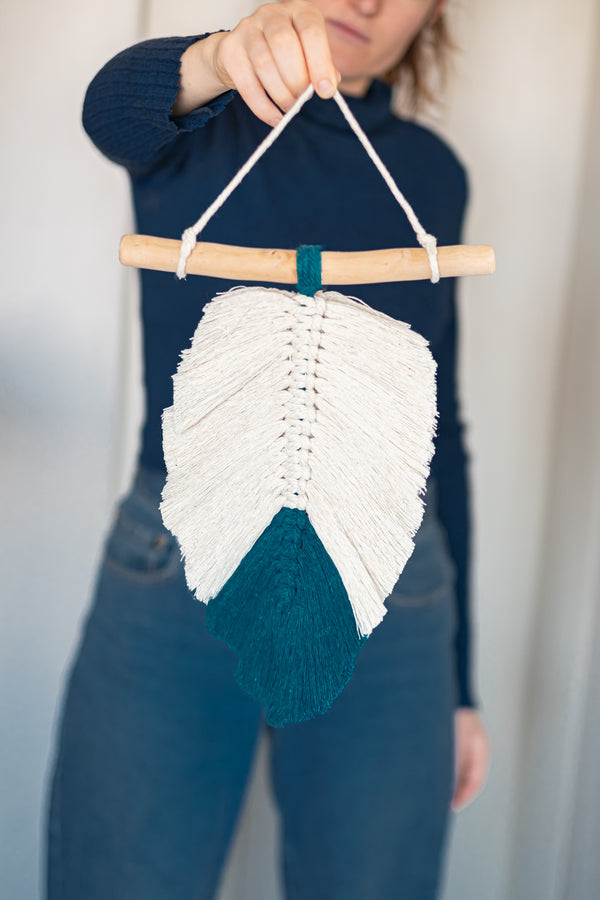 Kit Plume Colorée bois flotté
