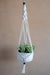 Porte-plante en macramé beige et gris suspendu avec des plantes grasses