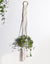 mur avec suspension macramé pot de fleur